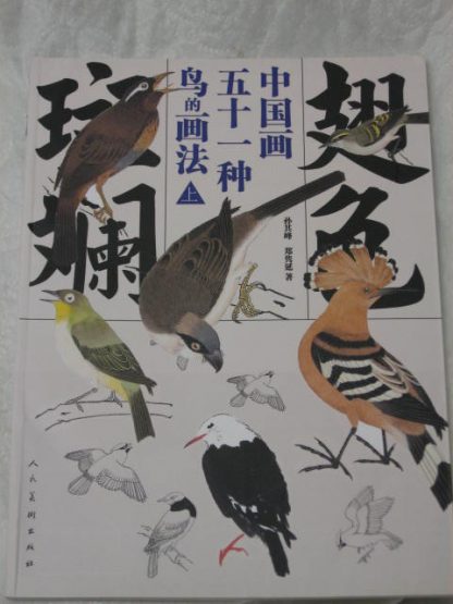 Book of birds (1)