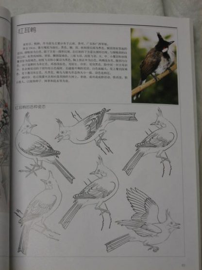 Book of birds (1) - Image 2