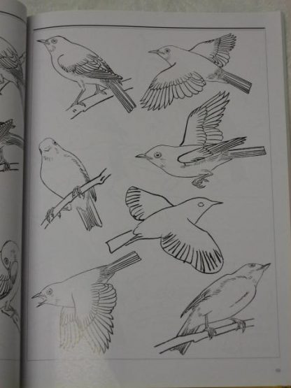 Book of birds (2) - Image 2