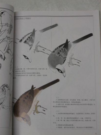 Book of birds (2) - Image 3