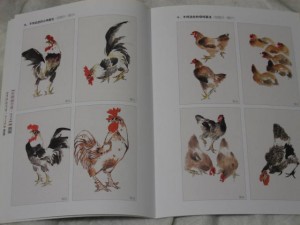 How to paint Roosters - Image 3