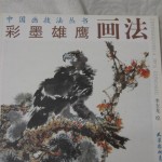 NingNan style - bird of prey