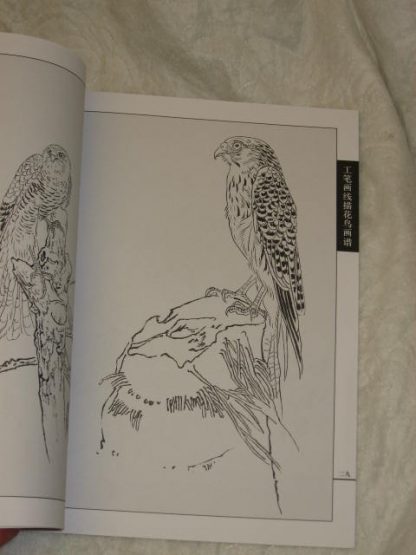 Flower/bird drawing book-Birds of prey - Image 2