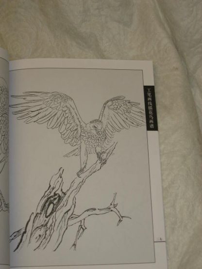 Flower/bird drawing book-Birds of prey - Image 3