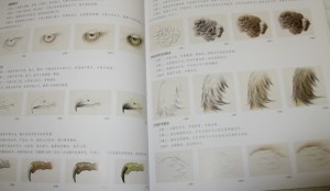 GongBi style painting- Eagles by Mr. Zheng - Image 5
