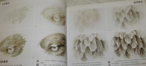 Eagle (GongBi style) paintings book - Image 7