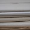 White Dragon - Image 3
