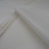 White Dragon - Image 2