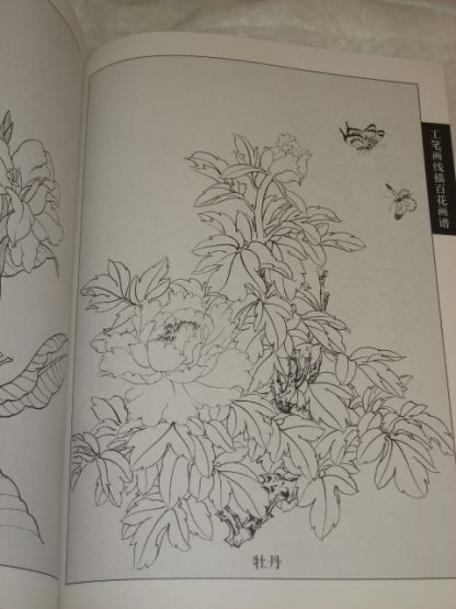 Flowers drawing books (Spring & Summer) - Image 4