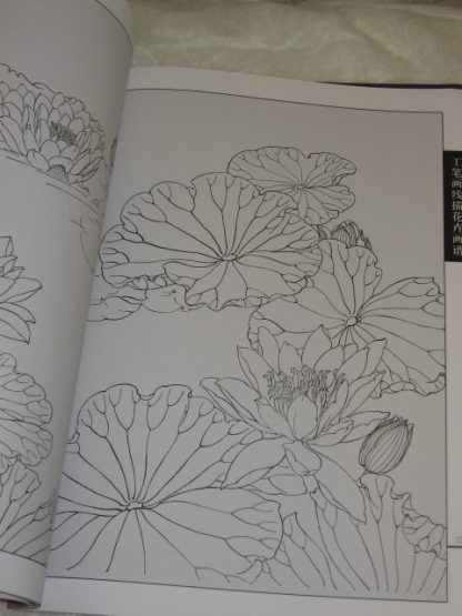 Flowers drawing books-lotus - Image 3
