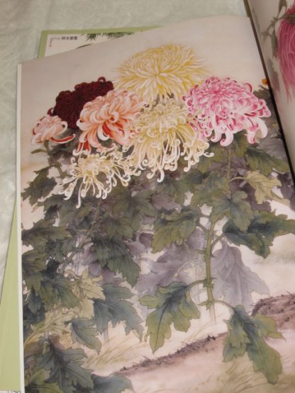 Chrysanthemums - Image 4