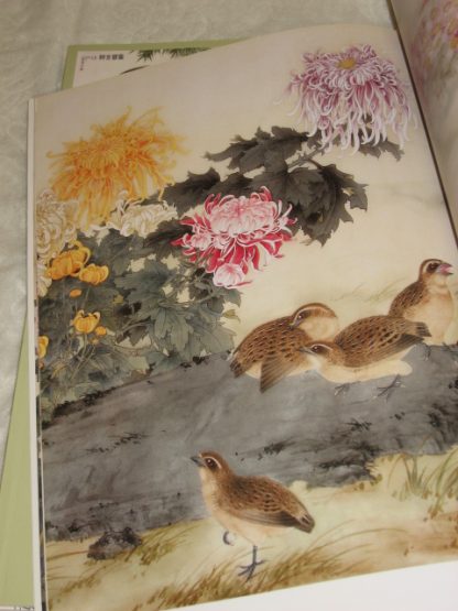 Chrysanthemums - Image 2