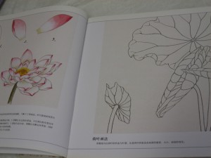 Lotus - in NingNan/GongBi style - Image 2