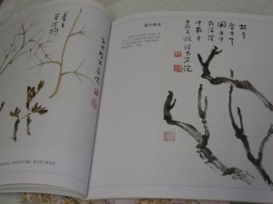 Peonies-in NingNan style - Image 4