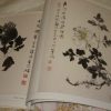 Peonies-in NingNan style - Image 5