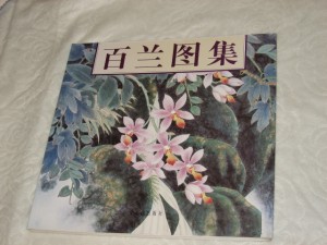 Orchids
