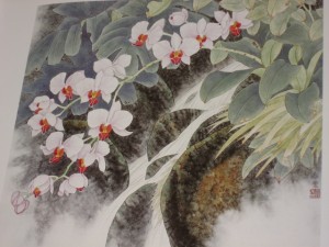 Orchids - Image 3
