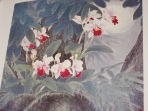 Orchids - Image 4