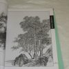 Trees & rocks 樹石篇 - Image 6