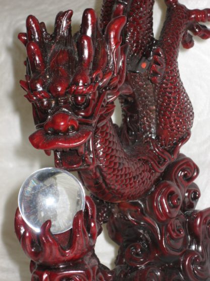 Enlighten Dragon