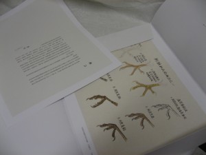 Bird painting-Chinese painting & tattoo flash sketch design references - Image 3