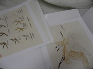 Bird painting-Chinese painting & tattoo flash sketch design references - Image 2