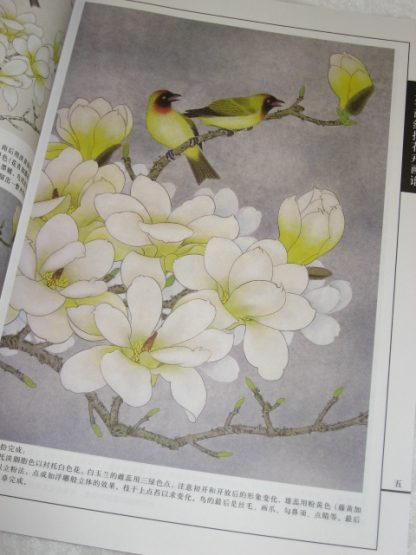 Flowers drawing books-Magnolia - Image 4