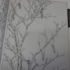 Flowers drawing books-Magnolia - Image 2