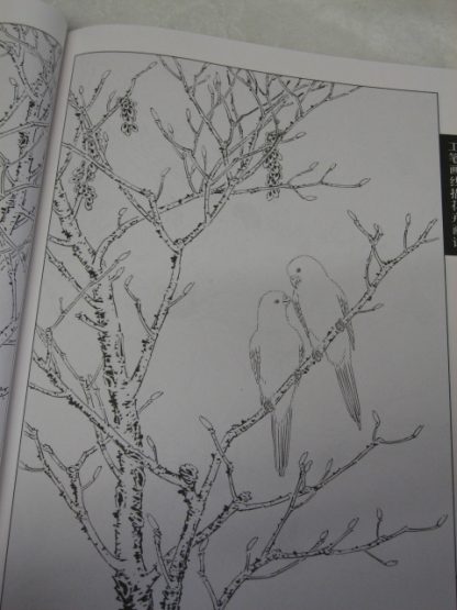 Flowers drawing books-Magnolia - Image 2