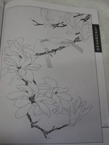 Flowers drawing books-Magnolia - Image 3