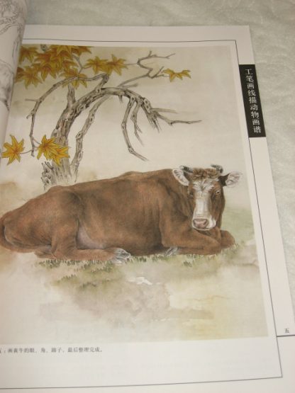 Animal drawing books - cattle; goat & sheep - Image 2