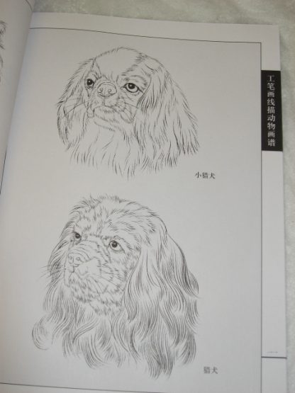 Animal drawing books - dogs - Image 2