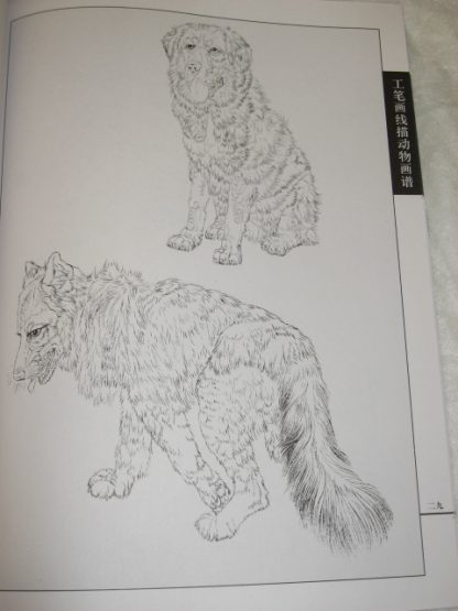 Animal drawing books - dogs - Image 3