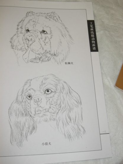 Animal drawing books - dogs - Image 4