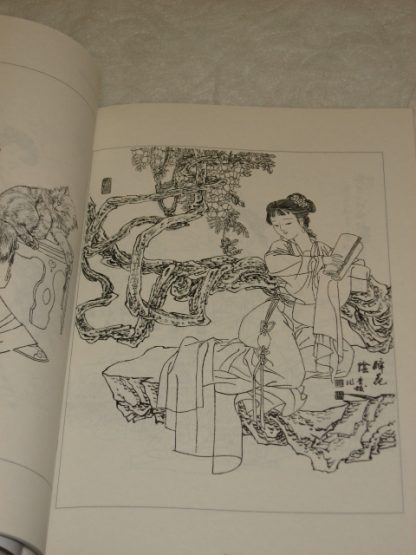 Meticulous drawing in ladies  - Image 2