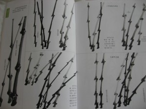 How to paint Bamboo in free style - Image 5