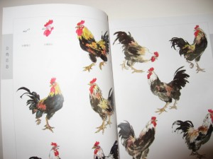 Farmyard fowl - Image 7