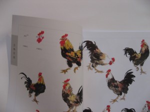 Farmyard fowl - Image 2