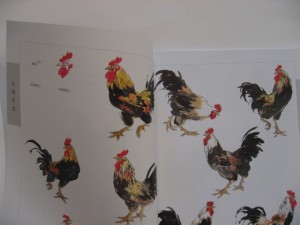 Farmyard fowl - Image 3