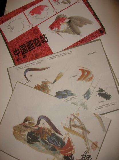 Birds & fishes - Image 2