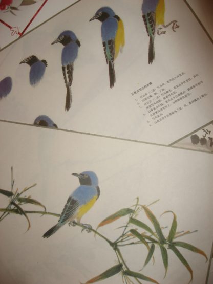 Birds & fishes - Image 3