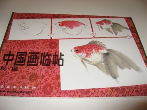 Birds & fishes