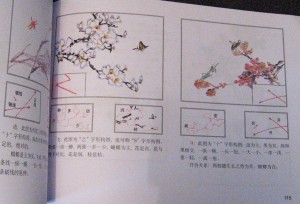 How to draw insects - Image 6