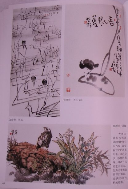 Book of chicks - Image 6