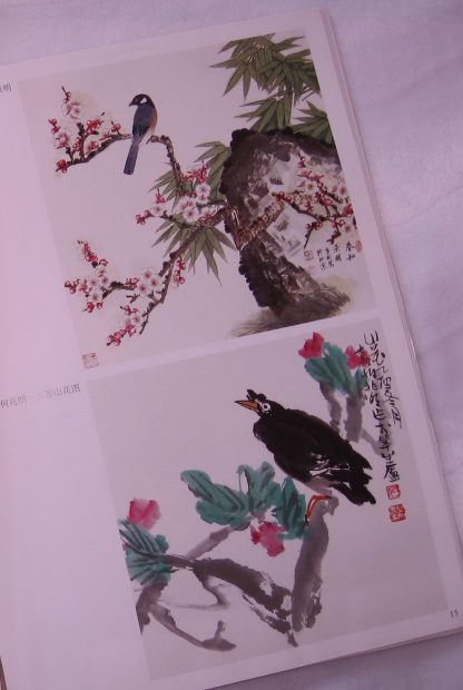 Book of chicks - Image 5