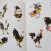 Farmyard fowl - Image 2