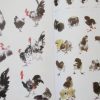 Farmyard fowl - Image 4