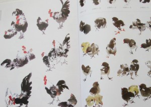 Farmyard fowl - Image 4