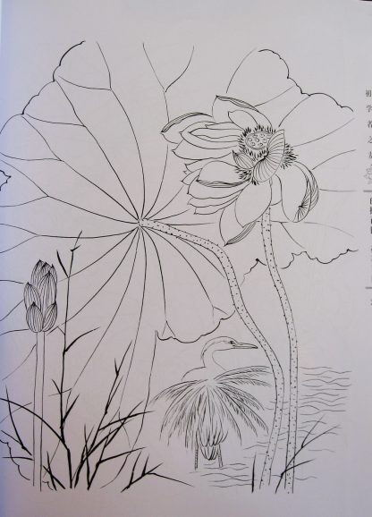 Illustration-Lotus & water lilies - Image 2