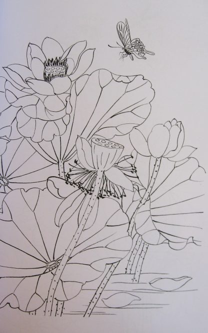 Illustration-Lotus & water lilies - Image 3